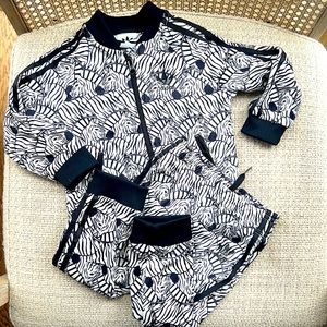 Adidas zebra jogger zip sweatsuit 12-18 mo🦓